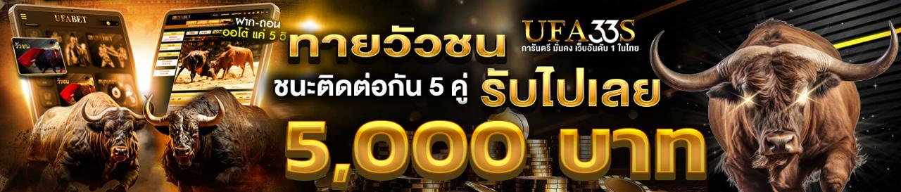 ทายวัวชนชนะติดต่อกัน